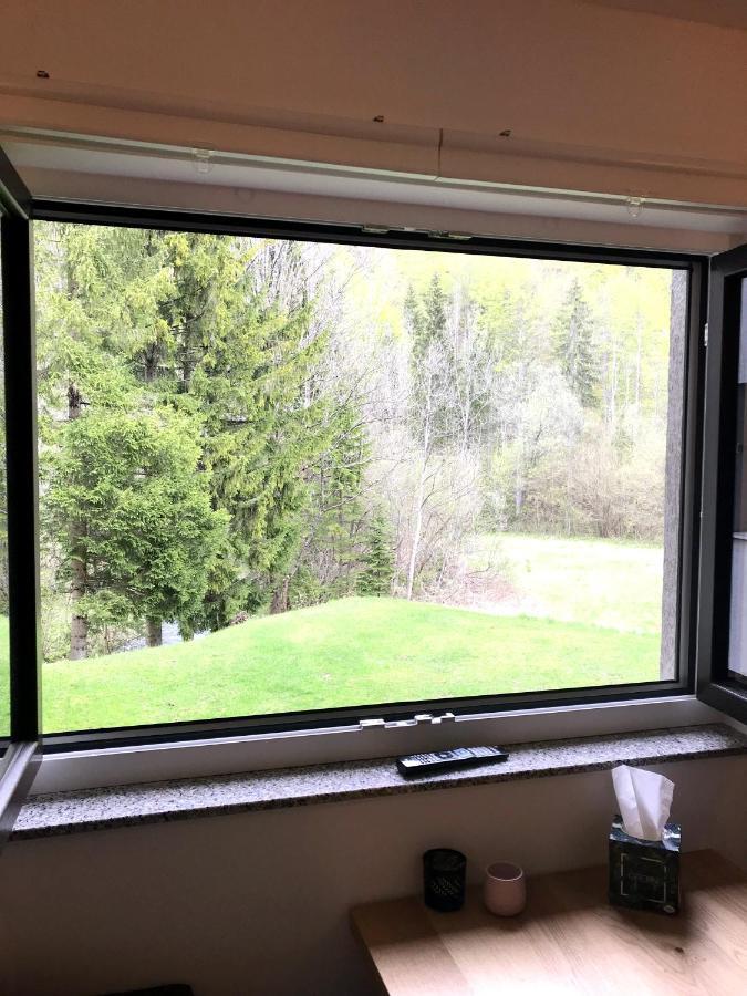 Apartment Loyd, Kranjska Gora - Studio Экстерьер фото